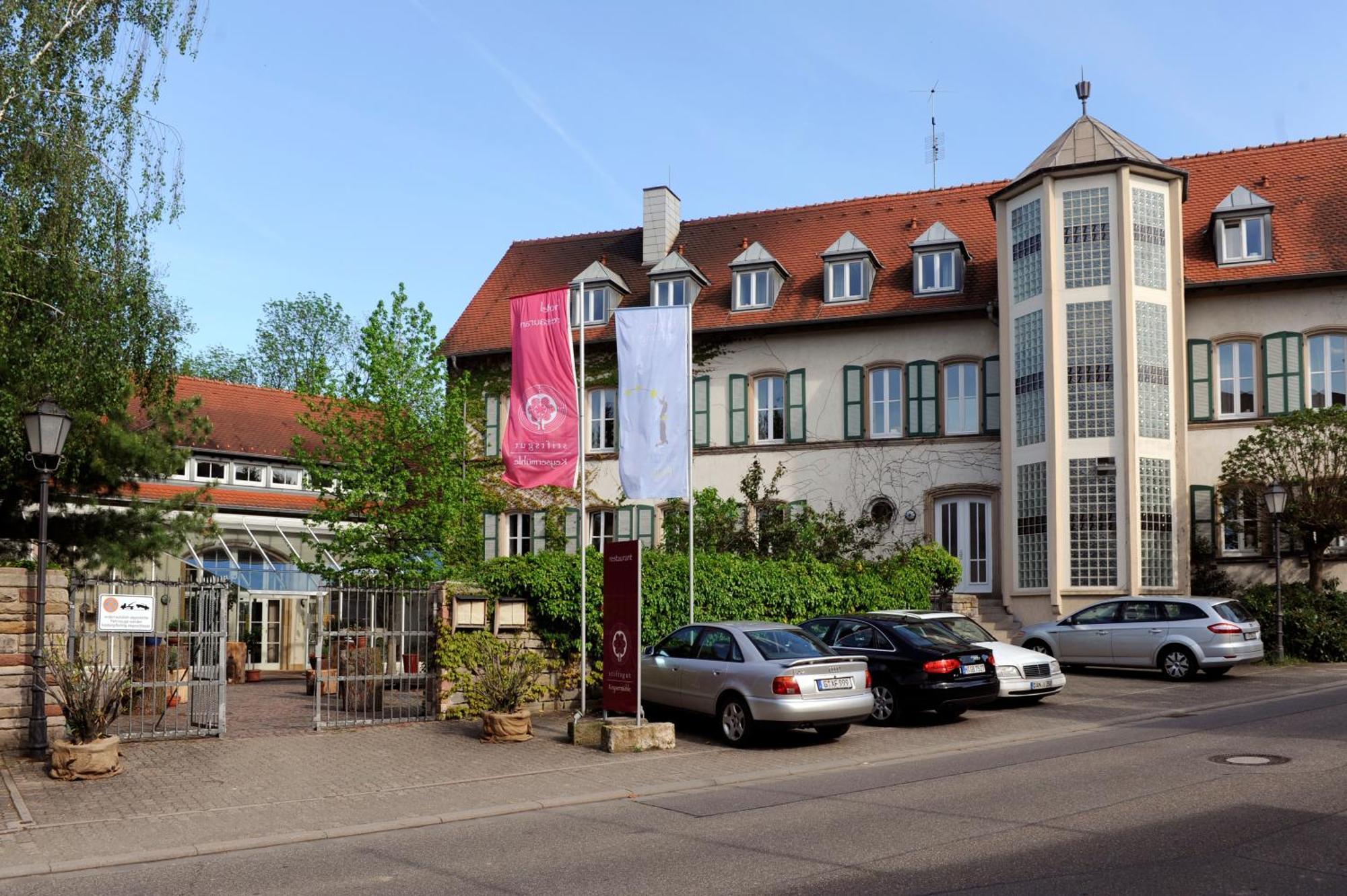 Stiftsgut Keysermuehle Klingenmünster エクステリア 写真